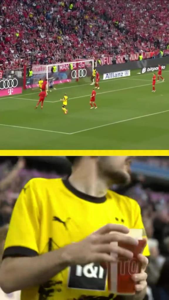 勇者無(wú)懼！這是真多特球迷！在拜仁球迷區(qū)一個(gè)人肆意慶祝！